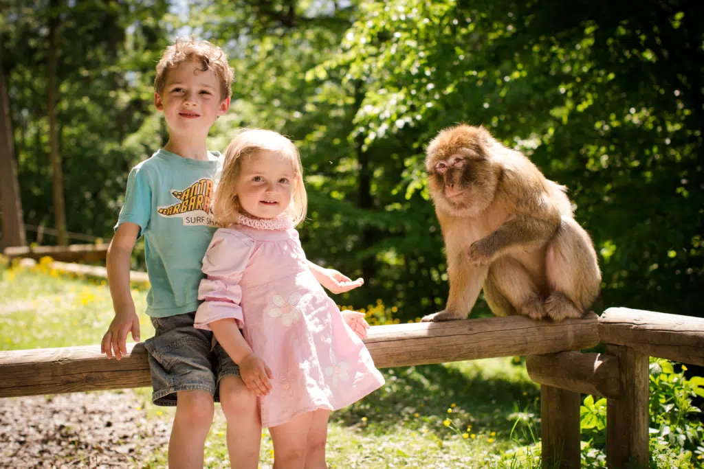 Ihr seht zwei Kinder und einen Affe am Affenberg Salem in Baden-Württemberg im Sommer. JUFA Hotels bietet kinderfreundlichen und erlebnisreichen Urlaub für die ganze Familie.