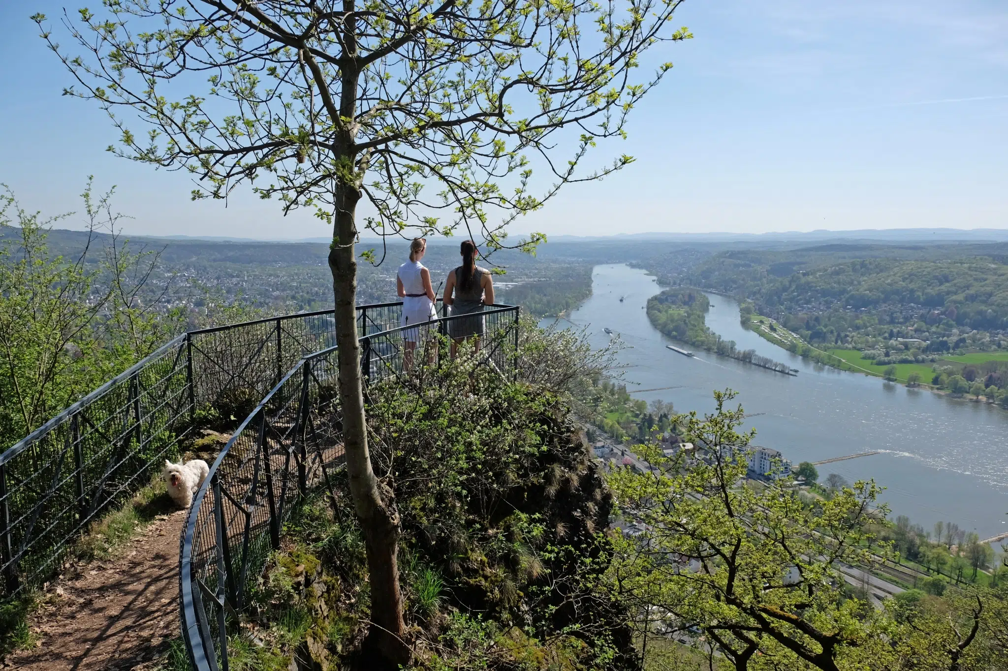 Ihr seht einen Ausblick auf die Siegfriedkanzel. JUFA Hotels bietet Ihnen den Ort für erlebnisreichen Natururlaub für die ganze Familie.