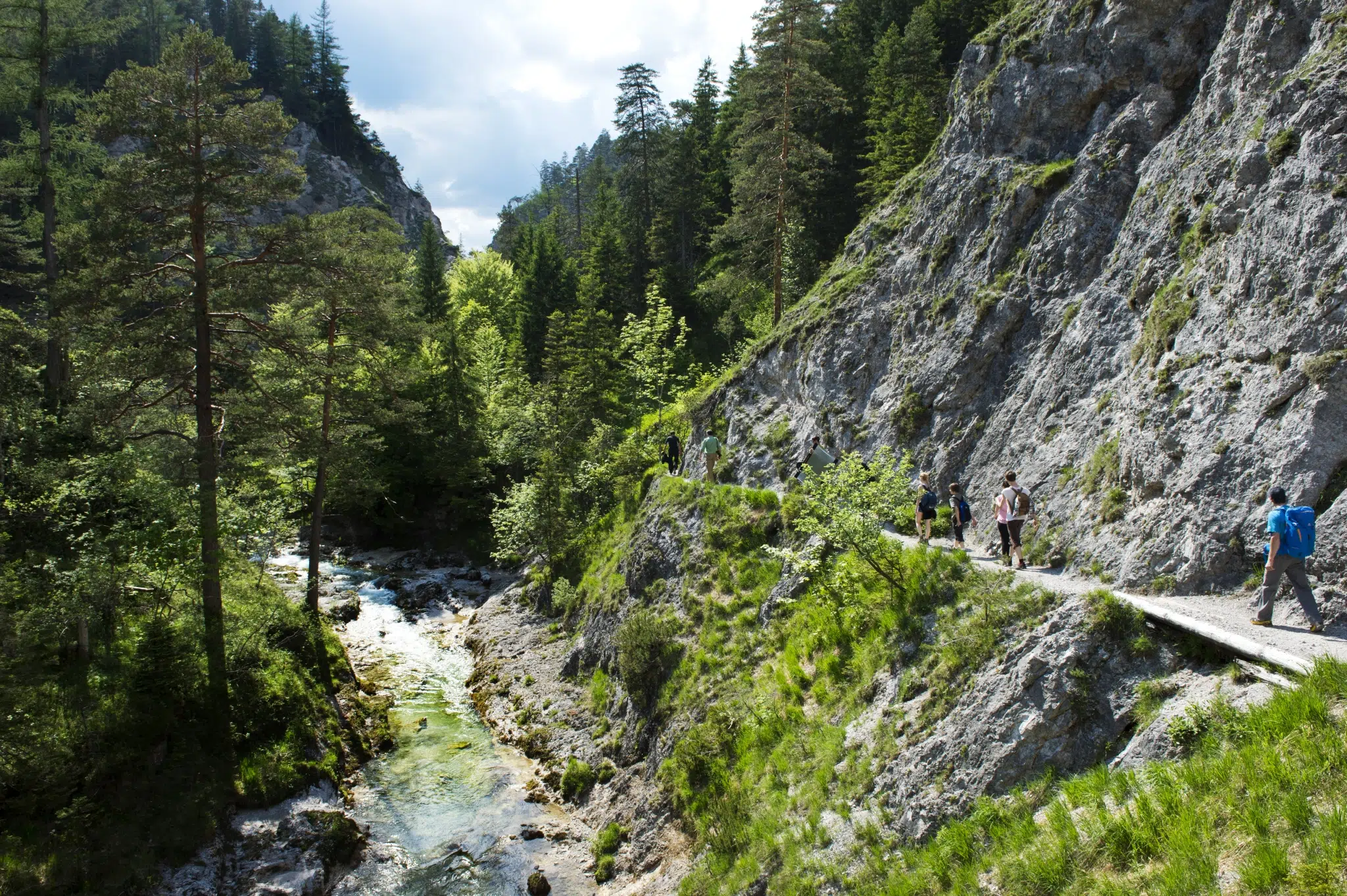 Ihr seht einen Bergsommer in den Ötschergräben mit Wald, Fluss und Bergmassiv. JUFA Hotels bietet Ihnen den Ort für erlebnisreichen Natururlaub für die ganze Familie.