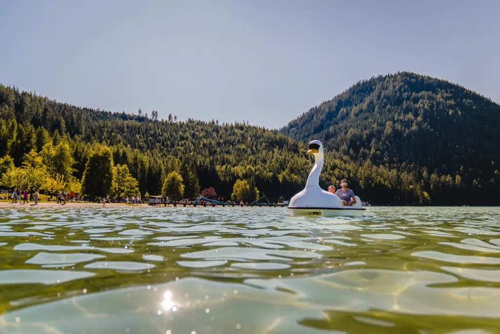 Ihr seht einen Vater mit Tochter beim Tretboot fahren am Erlaufsee in der Nähe vom JUFA Hotel Erlaufsee*** und JUFA Hotel Mariazell***. Der Ort für kinderfreundlichen und erlebnisreichen Urlaub für die ganze Familie.