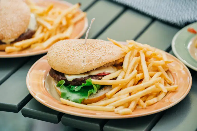 Ihr seht ein leckeres Burger-Teller mit Pommes im JUFA Hotel Lipizzanerheimat. Der Ort für erlebnisreichen Natururlaub für die ganze Familie.