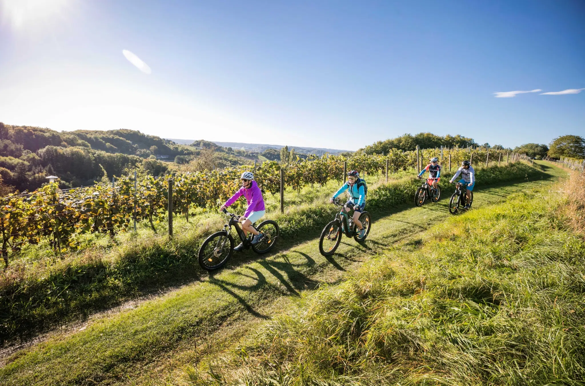 Ihr seht Personen beim Mountainbiken im Sommer im Thermen- & Vulkanland Steiermark