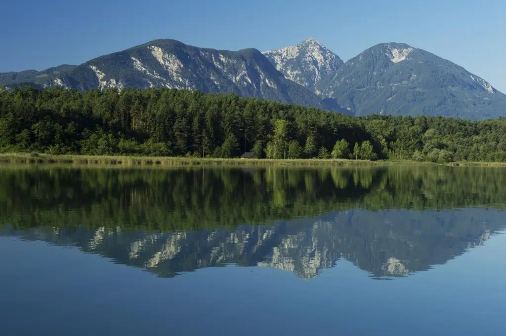 Ihr seht den Klopeinersee in Kärnten im Sommer.