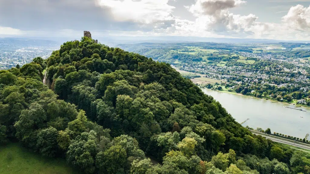 Ihr seht den imposanten Drachenfels in Königswinter mit Blick auf den schönen Rhein im Sommer. JUFA Hotels bietet erlebnisreichen Städtetrip für die ganze Familie und den idealen Platz für Ihr Seminar.