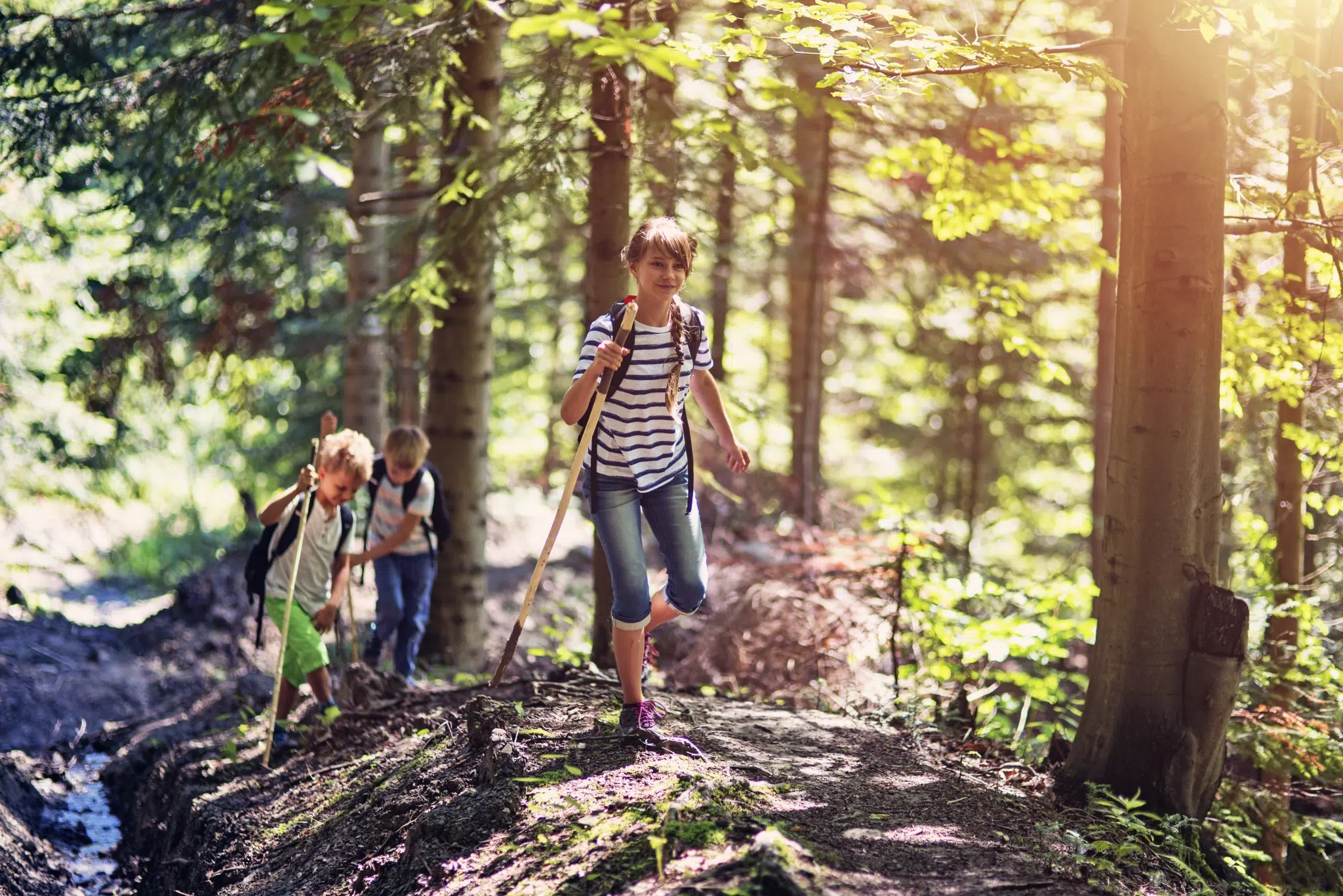 Drei Kinder im Alter von 7 bis 10 Jahren haben Spaß beim Wandern durch einen Wald im Sommer. JUFA Hotels bietet erlebnisreiche und kreative Schulprojektwochen in abwechslungsreichen Regionen.