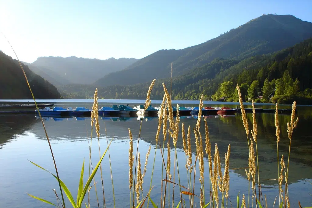 Ihr seht den Erlaufsee im Mariazeller Land im Sommer mit Gras und Tretbooten im Fokus sowie Bergen im Hintergrund.