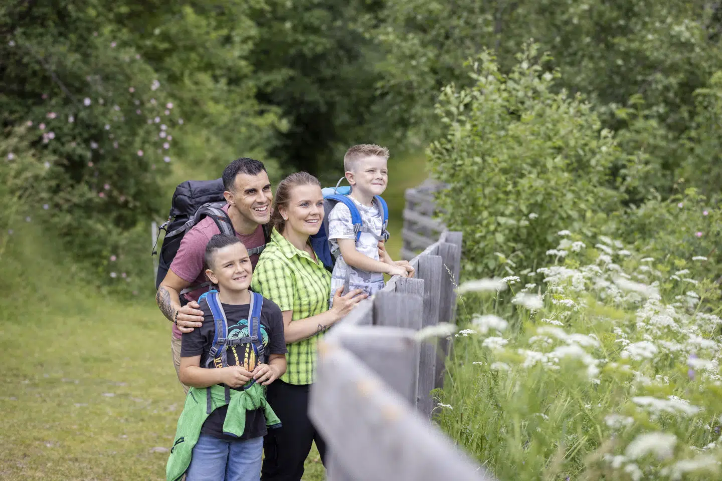 Sie sehen eine Familie beim Wandern, die die Aussicht genießt.