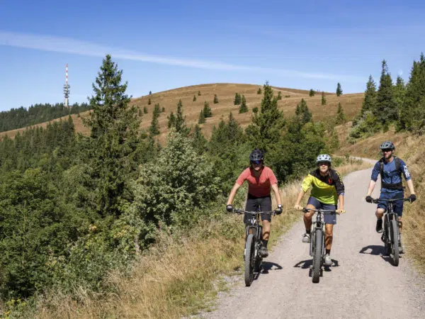 Ihr seht drei Mountainbiker beim fahren auf der Schotterstraße am Feldberg im Schwarzwald.