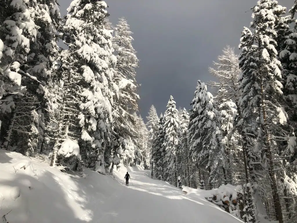 Ihr seht das herrliche Landschaftspanorama in der Region Murau-Murtal. JUFA Hotels bietet erholsamen Familienurlaub und einen unvergesslichen Winter- und Wanderurlaub.