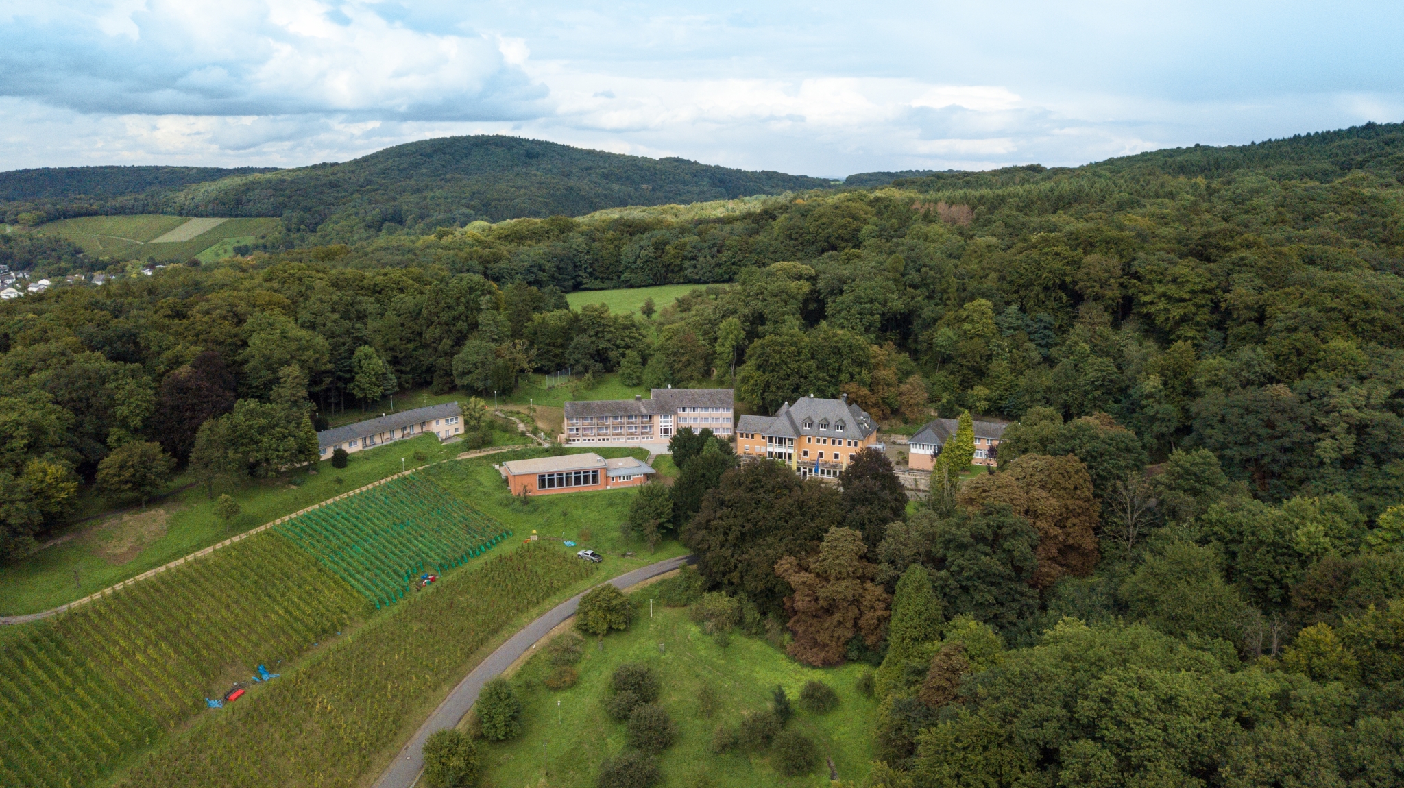 Ihr seht eine Außenansicht vom JUFA Hotel Königswinter**** mit einem Weinberg im Sommer. JUFA Hotels bietet erlebnisreichen Städtetrip für die ganze Familie und den idealen Platz für Ihr Seminar.