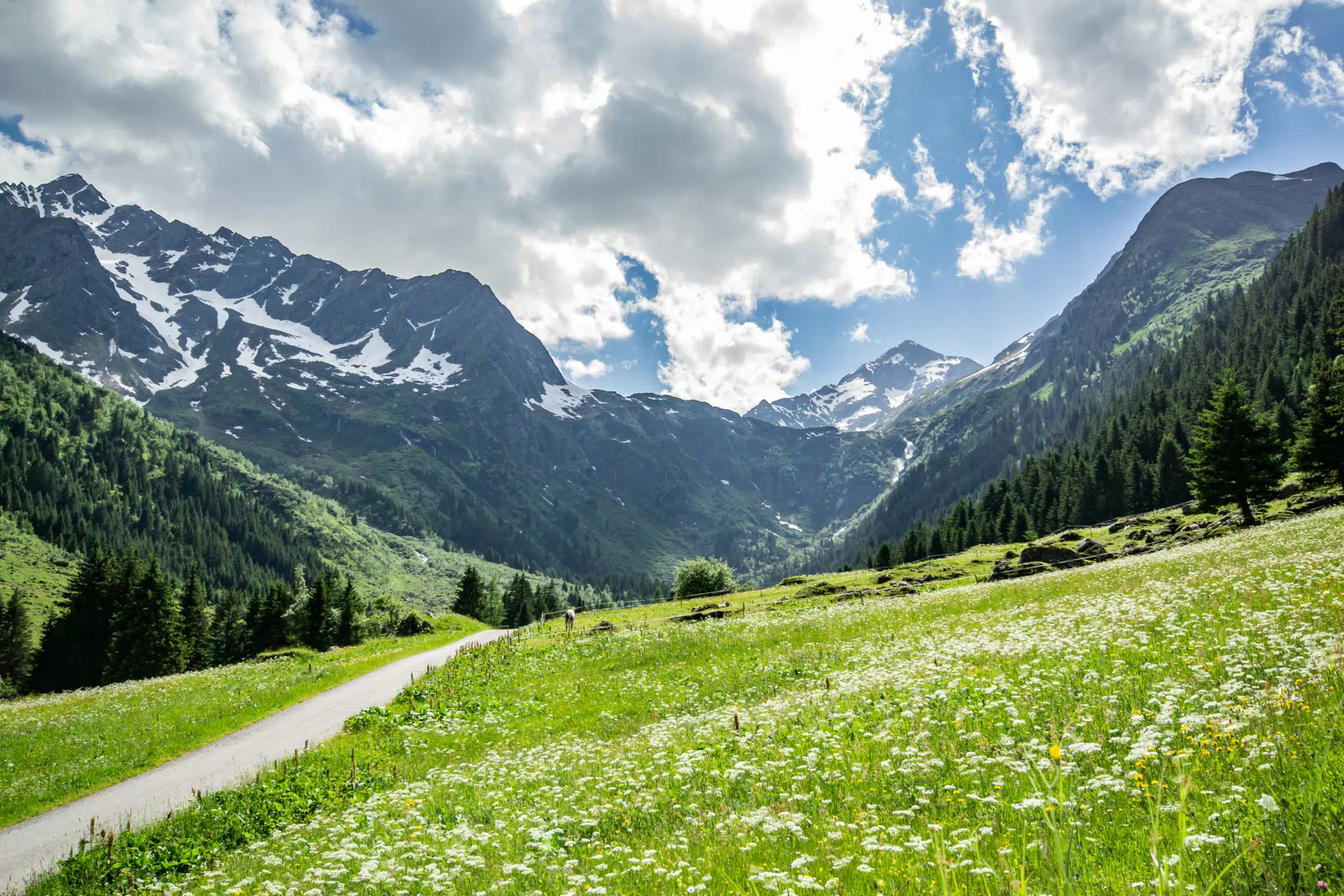 Sie sehen das Gschnitztal. Das JUFA Hotel Wipptal ist der perfekte Ausgangspunkt für einen erlebnisreichen Wander- und Bergurlaub.