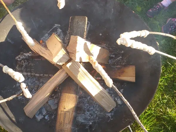 Ihr seht Kinder am Lagerfeuer beim Grillen des selbstgemachten Stockbrots. JUFA Kids-Club bietet Spaß und Aktion und ist im Urlaub inklusive.