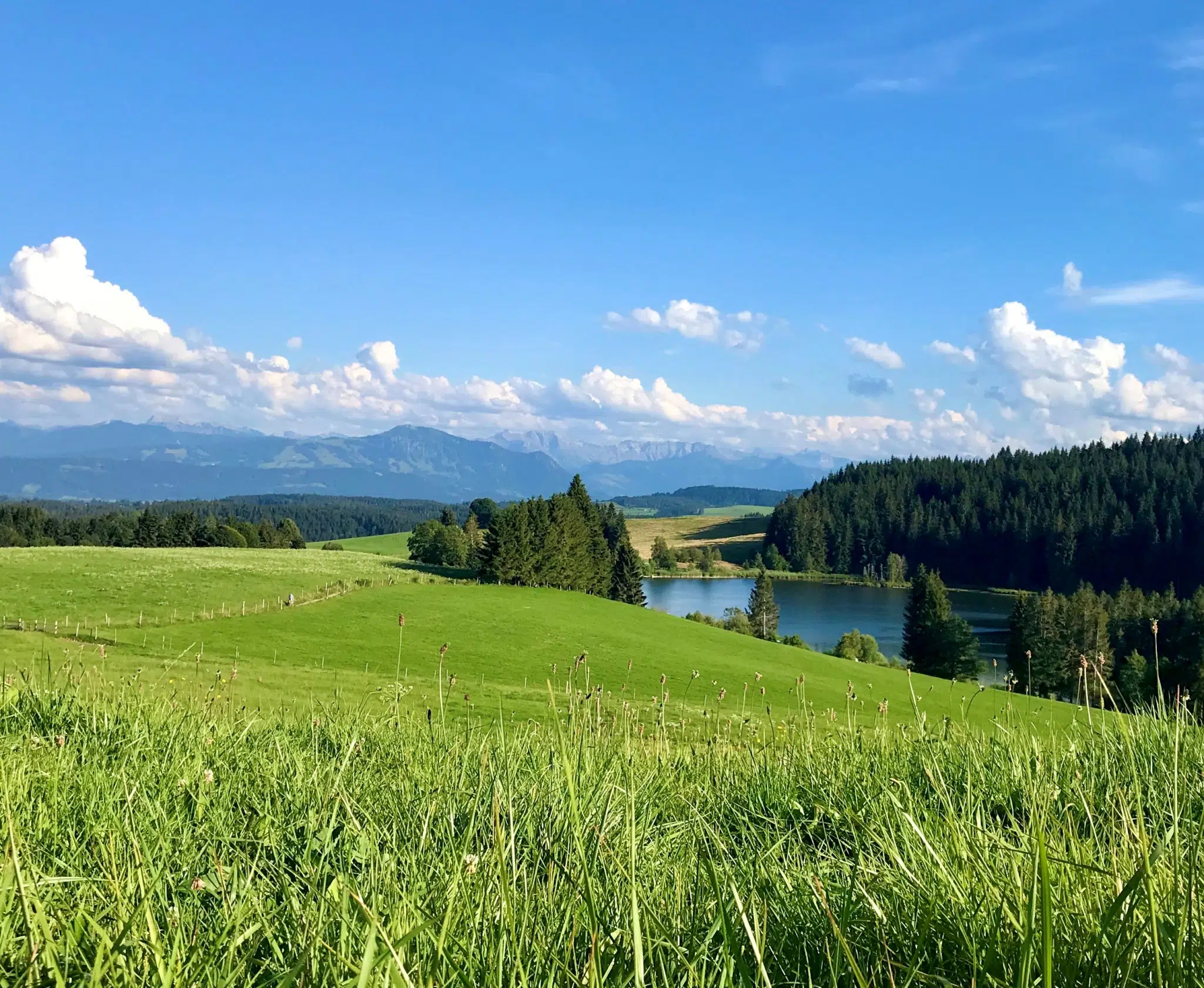 Ihr seht den Eschacher Weiher in Kempten.