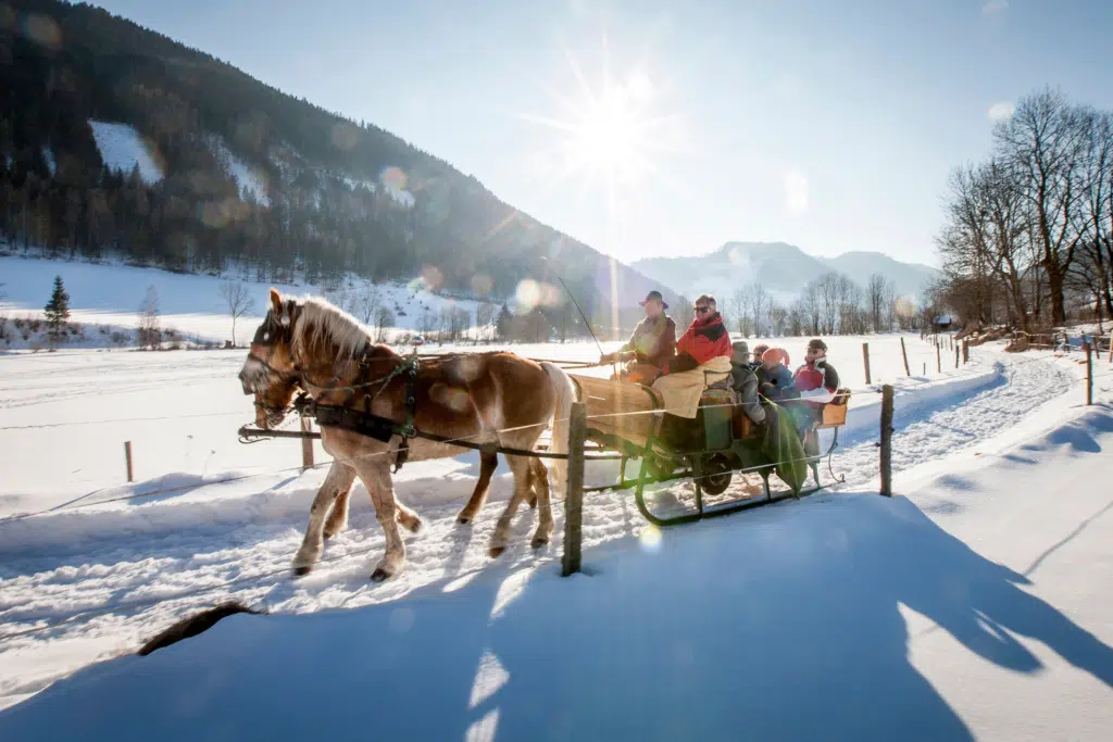 Ihr seht ein Bild von einer Familie bei einer Pferdekutschenfahrt im Winter in der Region Murau.