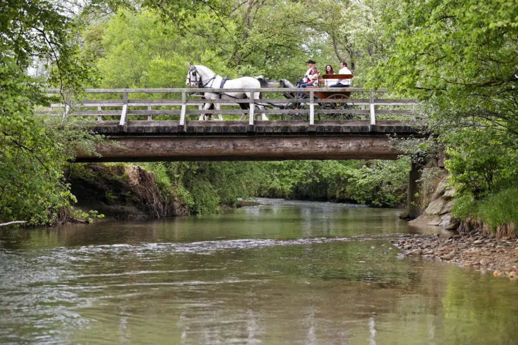 Kutschenfahrt über Brücke mit Schlosskutscher Rudi Almer im Sommer. JUFA Hotels bieten erholsamen Familienurlaub und einen unvergesslichen Winter- und Wanderurlaub.