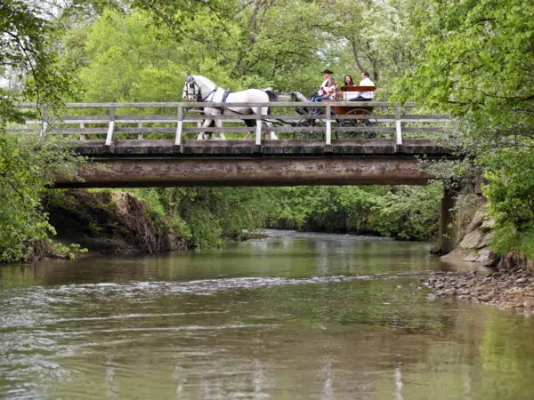 Kutschenfahrt über Brücke mit Schlosskutscher Rudi Almer im Sommer. JUFA Hotels bieten erholsamen Familienurlaub und einen unvergesslichen Winter- und Wanderurlaub.