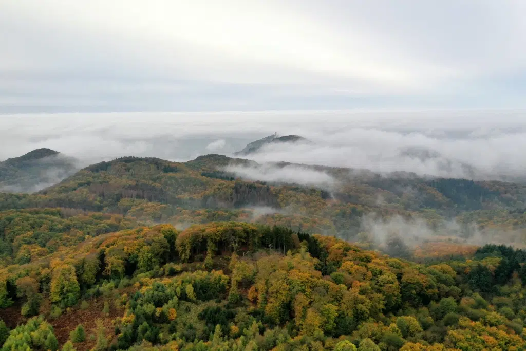 Ihr seht eine Landschaft vom Siebengebirge vom Nebel umhüllt. JUFA Hotels bietet Ihnen den Ort für erlebnisreichen Natururlaub für die ganze Familie.