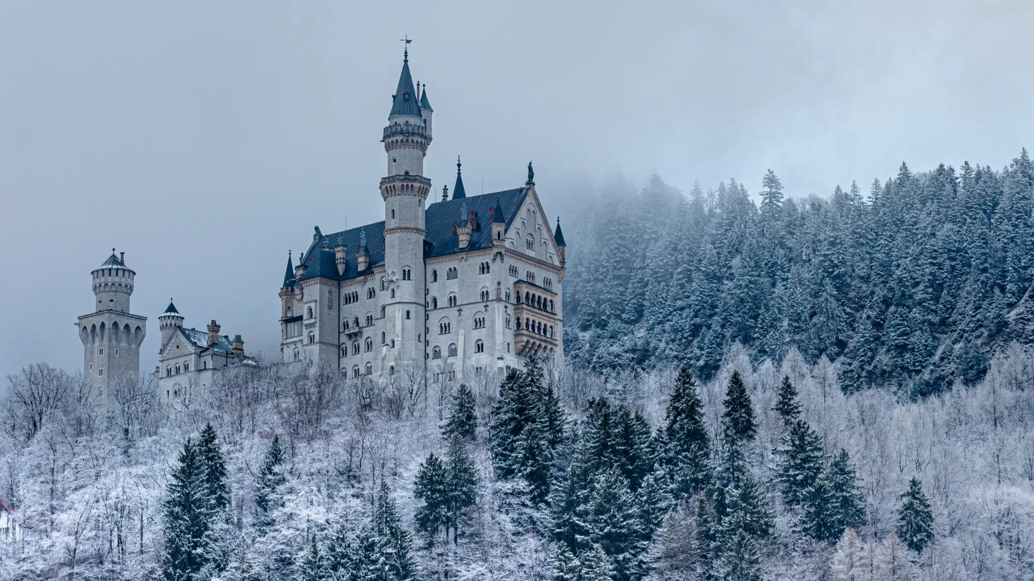 Ihr seht das Schloss Neuschwanstein im Winter | JUFA Kempten im Allgäu – Familien-Resort - winter, allgaeu, kempten, schloss, neuschwanstein, schnee, bayern