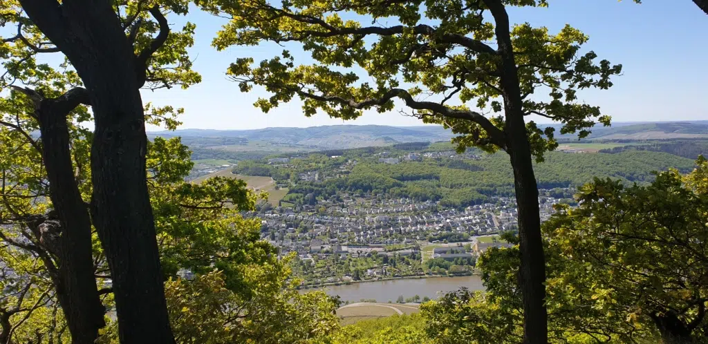 Ihr seht die Aussicht vom Wanderweg Maria-Zill in Bernkastel-Kues. jufa hotels, wandern, natur, sommer, wanderweg, panorama