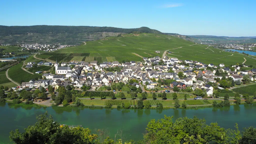 Ihr seht die Moselschleife in Minheim. jufa hotels, bernkastel-kues, sommer, fluss