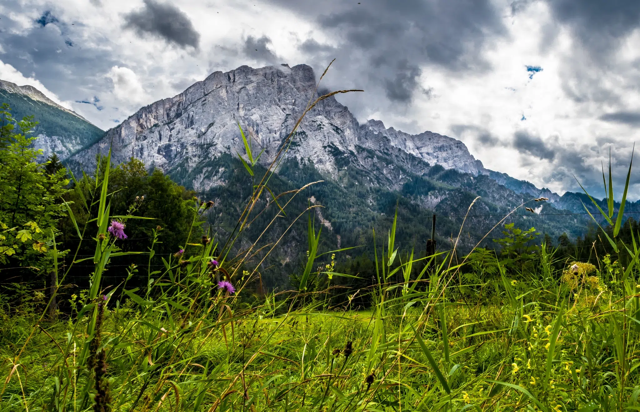 Ihr seht ein Bergpanorama im Nationalparkgebiet Gesäuse. JUFA Hotels bietet erholsamen Familienurlaub und einen unvergesslichen Winterurlaub.