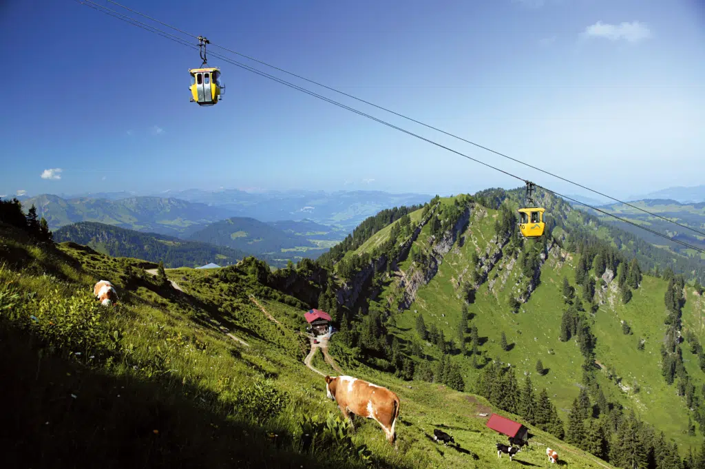 Ihr seht die Oberstaufen Hochgratbahn in Wangen im Allgäu mit Bergpanorama und einer Kuh im Vordergrund. Blick auf den Oberstaufen in Wangen im Allgäu. JUFA Hotels bietet Ihnen den Ort für erlebnisreichen Natururlaub für die ganze Familie.