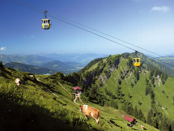 Ihr seht die Oberstaufen Hochgratbahn in Wangen im Allgäu mit Bergpanorama und einer Kuh im Vordergrund. Blick auf den Oberstaufen in Wangen im Allgäu. JUFA Hotels bietet Ihnen den Ort für erlebnisreichen Natururlaub für die ganze Familie.