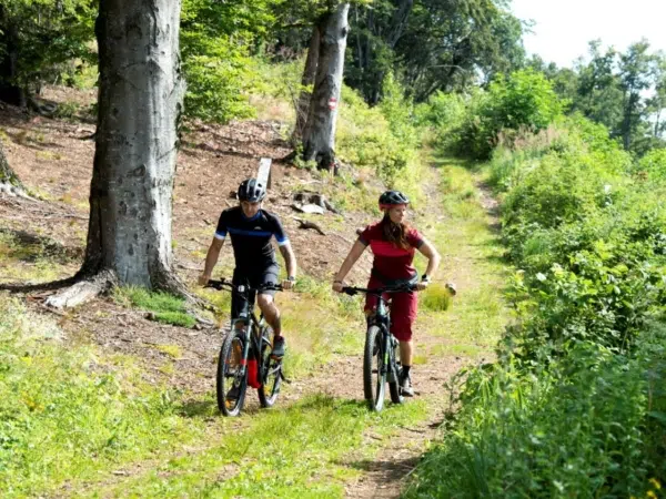 Ihr seht ein Paar auf E-Bikes am Waldrand im Sommer.