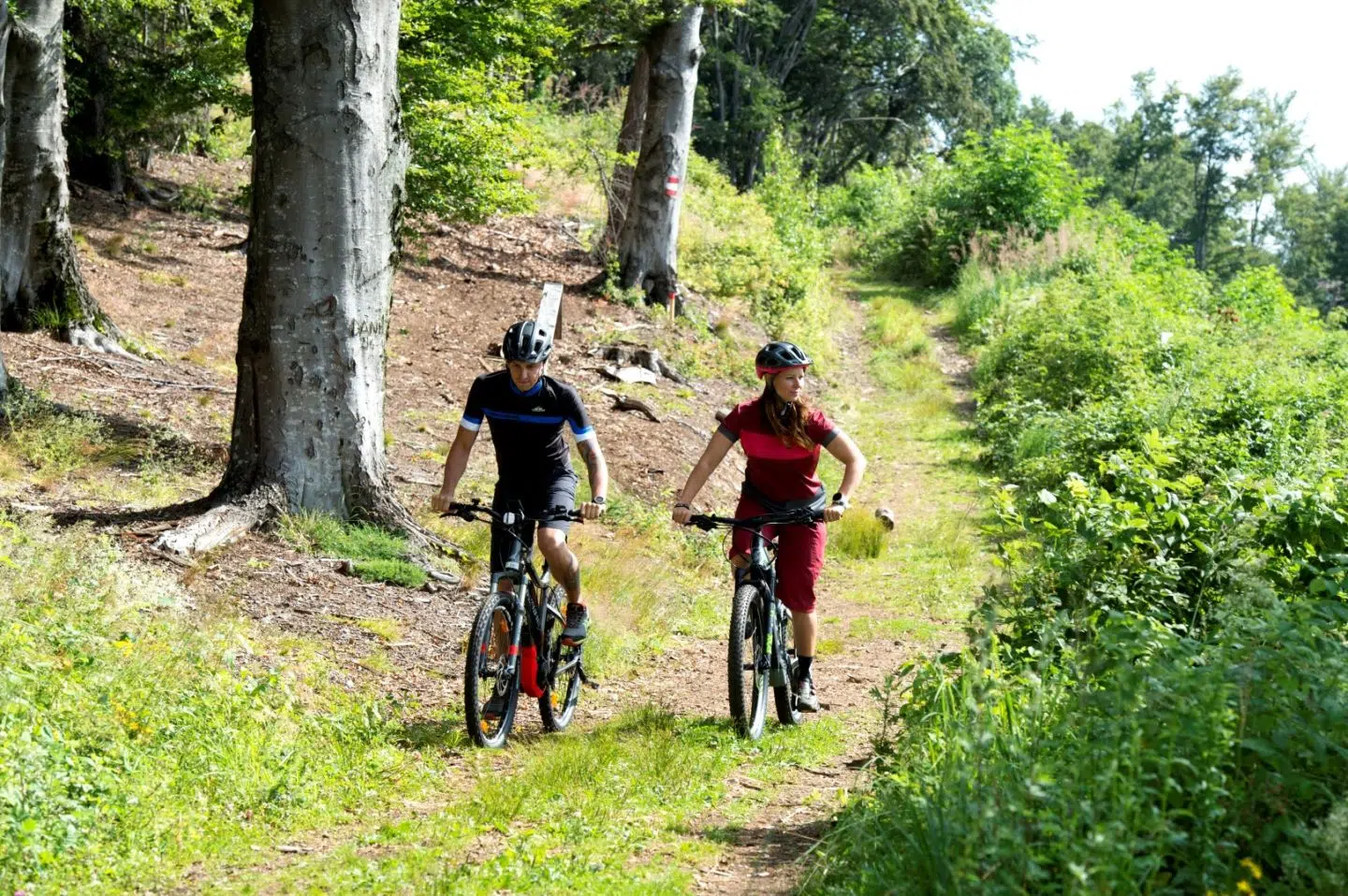 Ihr seht ein Paar auf E-Bikes am Waldrand im Sommer.