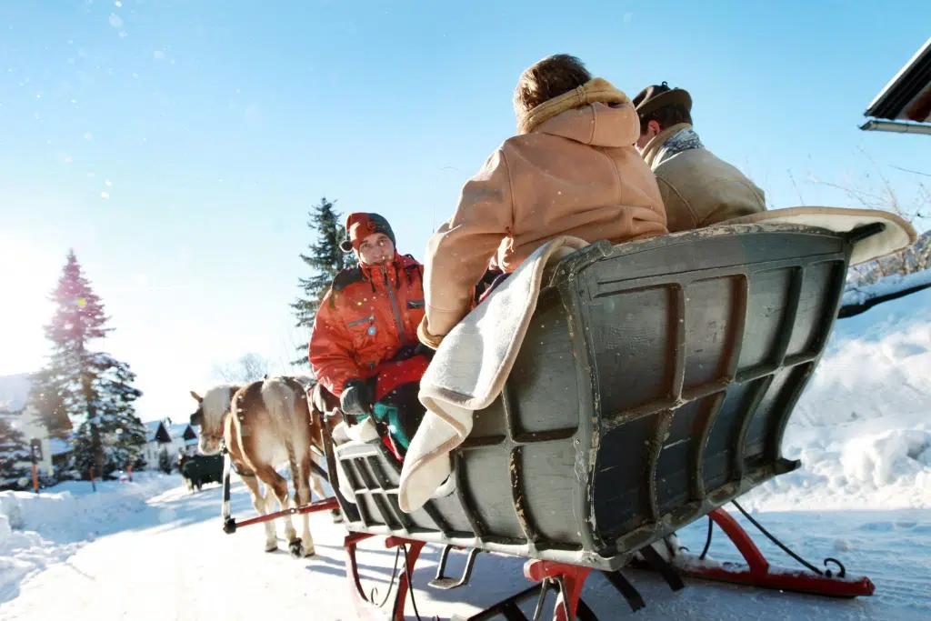 Ihr seht Erwachsene, die eine Pferdeschlittenfahrt in Annaberg durch die wunderschöne Winterlandschaft genießen. JUFA Hotels bietet erholsamen Familienurlaub und einen unvergesslichen Winterurlaub.