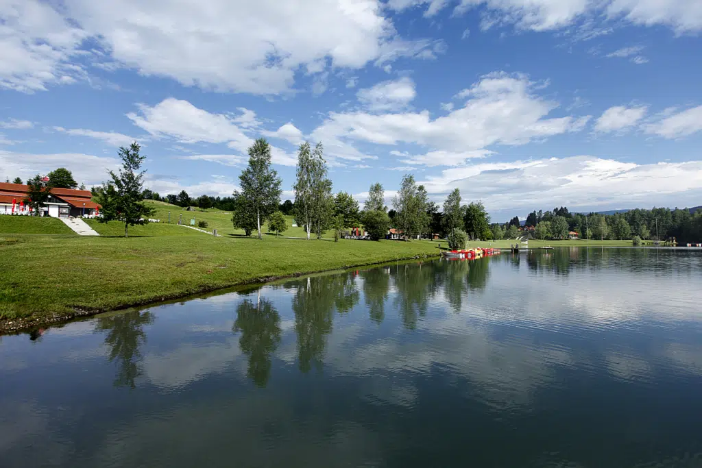 Ihr seht den Pibersteinersee mit den umliegenden Wiesen in der Weststeiermark im Sommer.