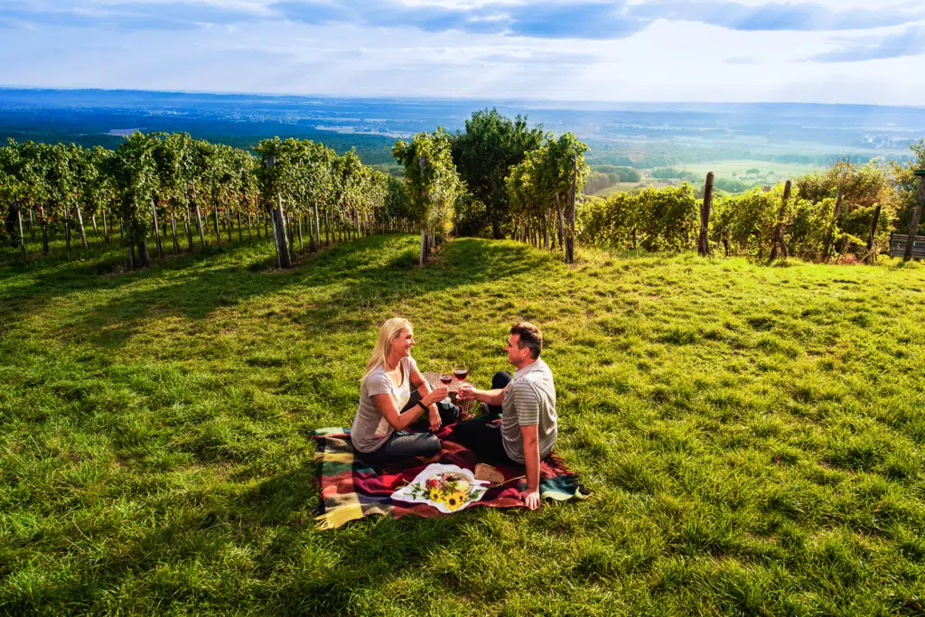 Ihr seht ein Pärchen beim Picknicken inmitten der Weinberge im Thermen- & Vulkanland.