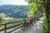 Ihr seht Radfahrer bei der Pause mit Blick zu den Fischen in den See im Ausseerland im steirischen Salzkammergut.