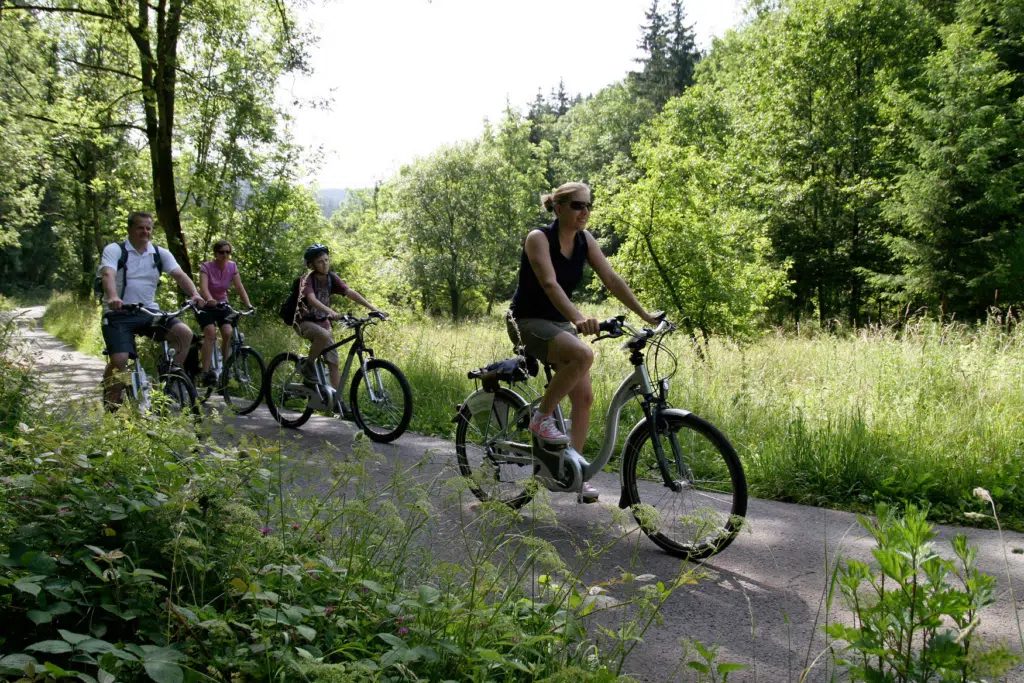 Ihr seht Radfahrer bei einer Radtouram Rennsteig im Frankenwald im Tettautal. JUFA Hotels bietet kinderfreundlichen und erlebnisreichen Urlaub für die ganze Familie.