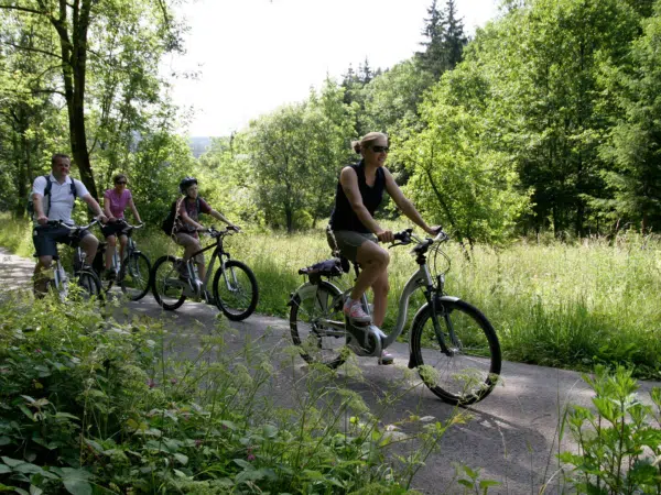 Ihr seht Radfahrer bei einer Radtouram Rennsteig im Frankenwald im Tettautal. JUFA Hotels bietet kinderfreundlichen und erlebnisreichen Urlaub für die ganze Familie.