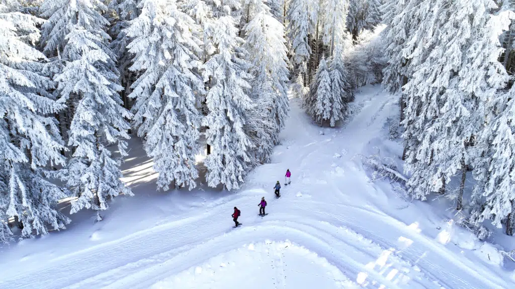 Ihr seht eine Gruppe von Personen beim Schneeschuh wandern inmitten der tief verschneiten Landschaft im Schwarzwald.