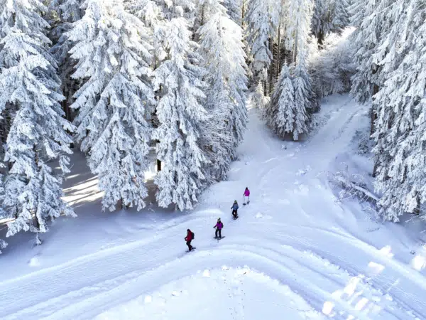 Ihr seht eine Gruppe von Personen beim Schneeschuh wandern inmitten der tief verschneiten Landschaft im Schwarzwald.