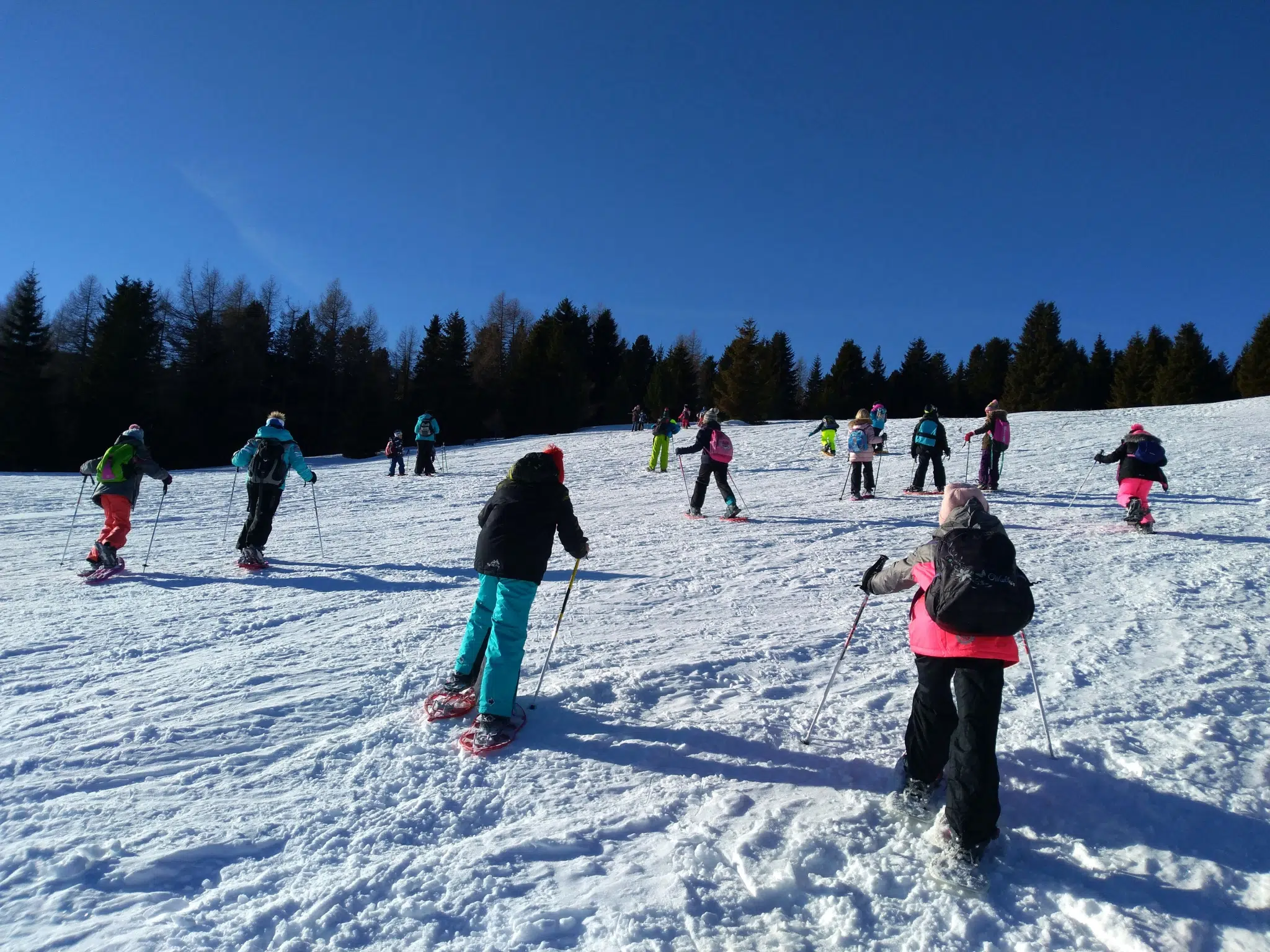 Ihr seht Schüler beim Schneeschuhwandern im Murtal im Winter. JUFA Hotels bietet erholsamen Familienurlaub und einen unvergesslichen Winterurlaub.