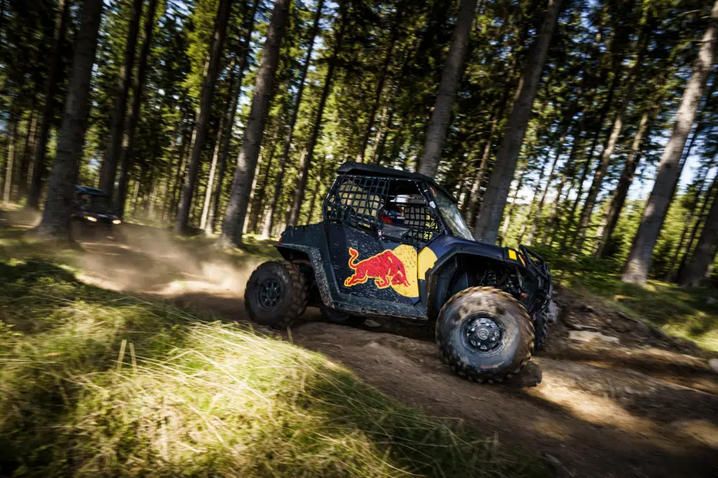 Ihr seht einen Offroad Buggy in den Wäldern rund um den Red Bull Ring, mit dem ihr bei eurem Urlaub in den JUFA Hotels im Murtal auch selbst fahren könnt.