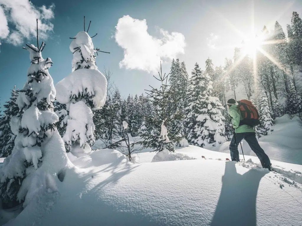 Ihr seht einen Skitourengeher im Tiefschnee durch den Wald im Nationalpark Gesäuse gehen.