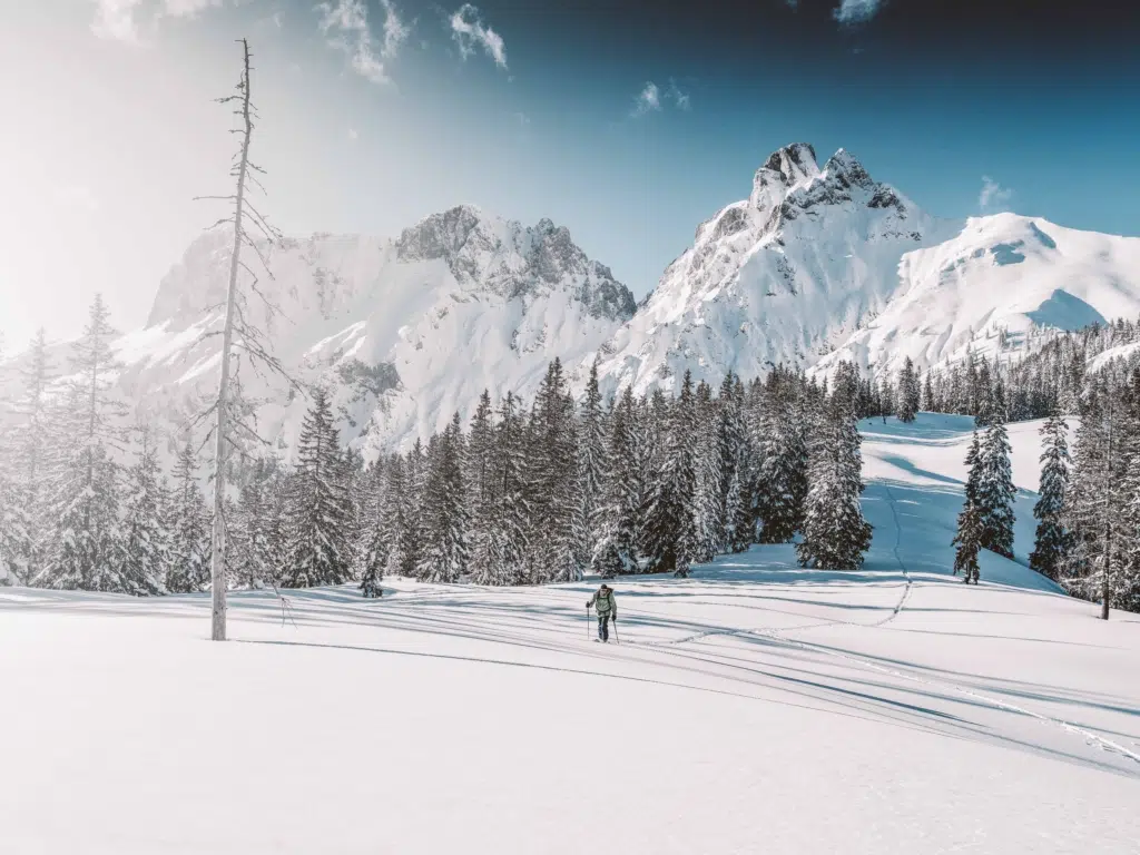 Ihr seht einen Skitourengeher in der Winterlandschaft des Nationalparks Gesäuse.