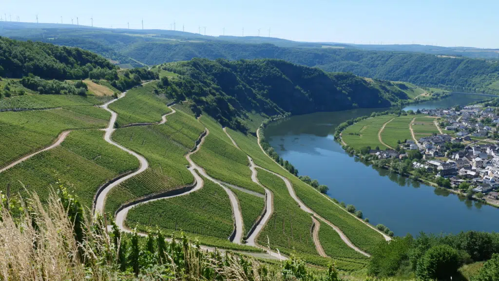 Ihr seht die Moselpanoramastraße. jufa hotels, bernkastel-kues, fluss, sommer