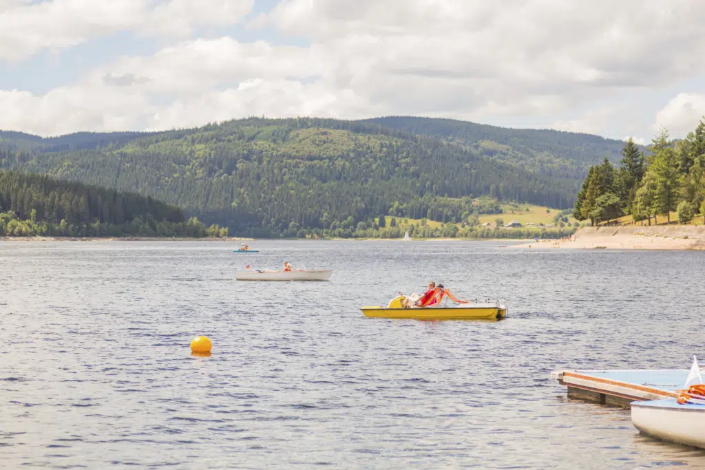 Ihr seht Personen beim Tretboot fahren am Schluchsee im Sommer.