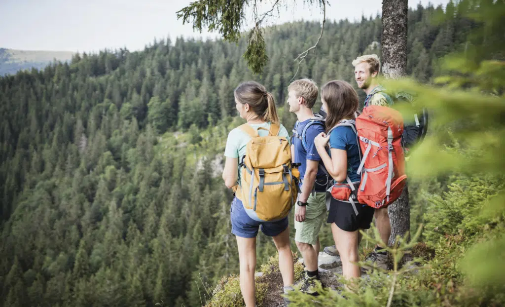 Ihr seht eine Freundesgruppe beim Wandern im Gebirge im Schwarzwald.