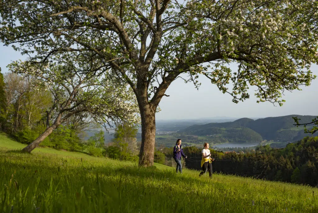 Ihr seht zwei Frauen beim Wandern in Stubenberg am See. JUFA Hotels bietet Ihnen den Ort für erlebnisreichen Natururlaub für die ganze Familie.