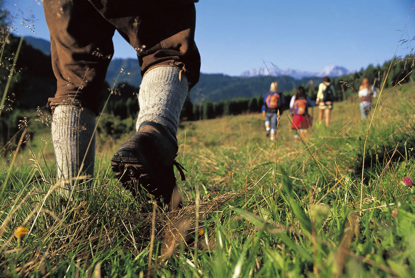 Gruppe von Erwachsenen beim Wandern im abwechslungsreichen Wandergebiet Weissensee in Kärnten. JUFA Hotels bietet Ihnen den Ort für erlebnisreichen Natururlaub für die ganze Familie.