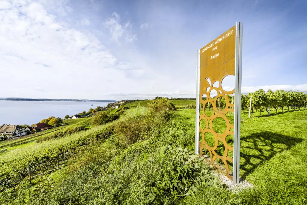 Ihr seht Weinreben in Meersburg. JUFA Hotels, der Ort für erholsamen und eindrucksvollen Sommerurlaub für die ganze Familie.