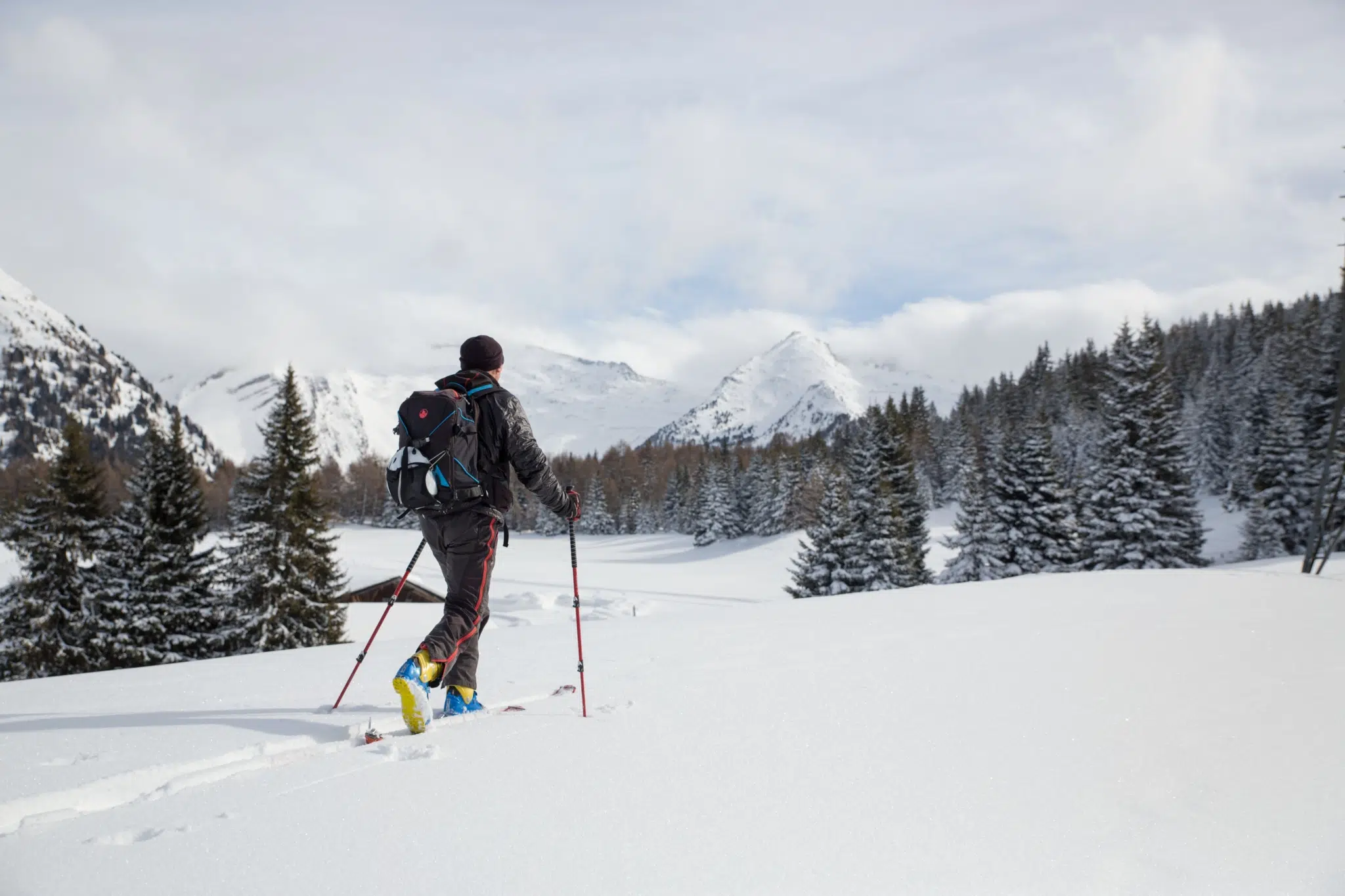 Wipptal, Gries am Brenner, Sattelbergalm