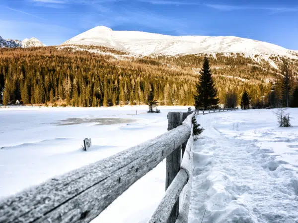 Ihr seht den Prebersee im Winter.