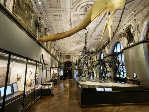 Ihr seht Dinosaurierskelette und andere Exponate im Naturhistorischen Museum in Wien.